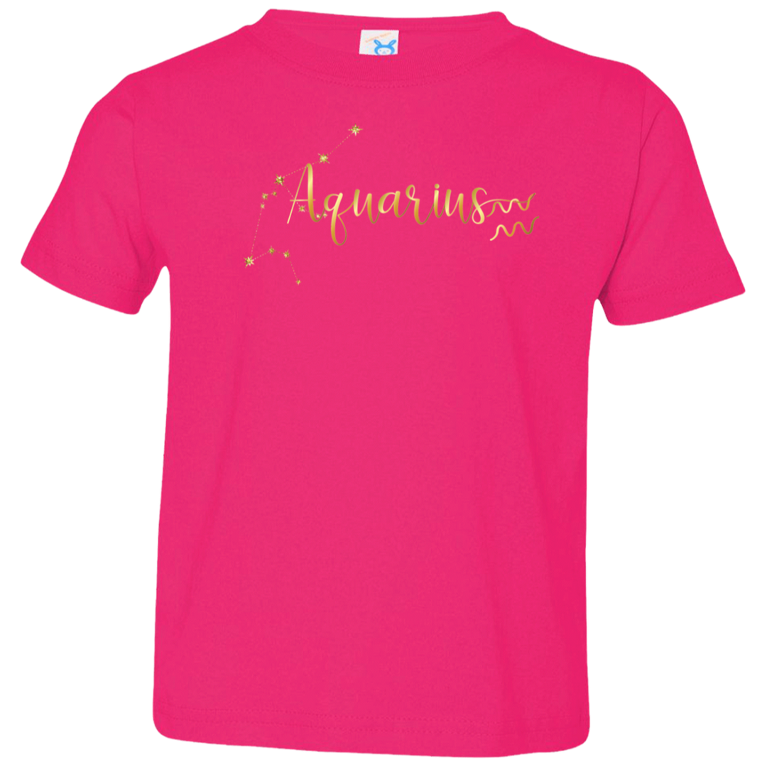 Aquarius Toddler Jersey T-Shirt