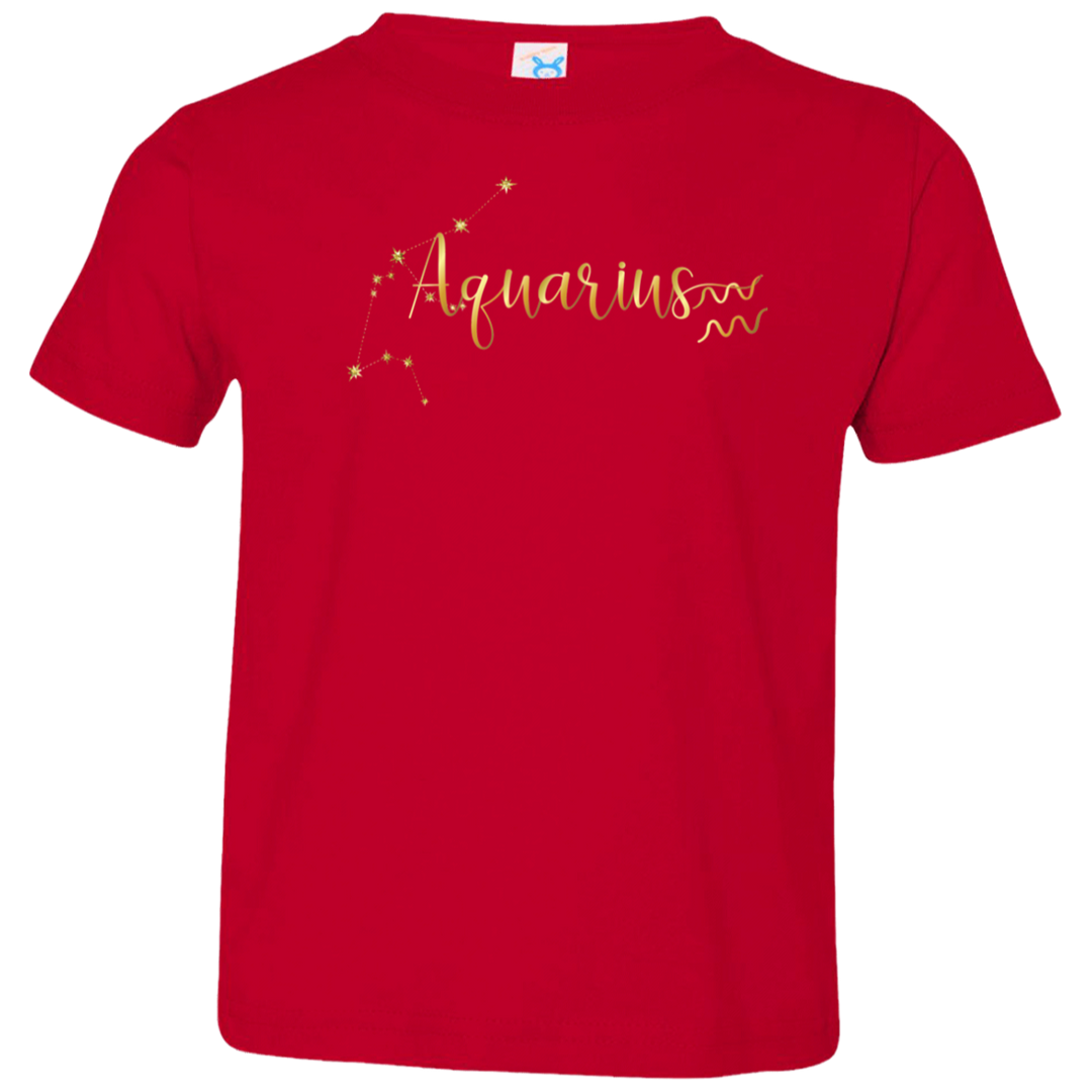 Aquarius Toddler Jersey T-Shirt