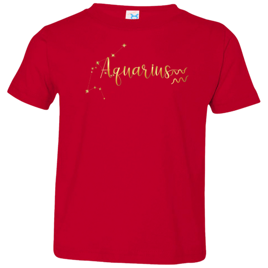 Aquarius Toddler Jersey T-Shirt