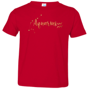 Aquarius Toddler Jersey T-Shirt