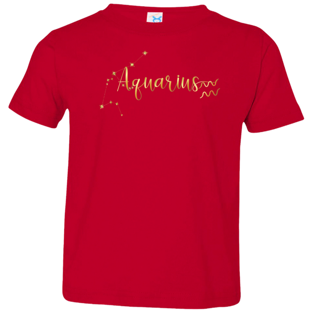 Aquarius Toddler Jersey T-Shirt