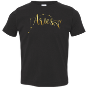 Aries Toddler Jersey T-Shirt