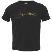 Aquarius Toddler Jersey T-Shirt