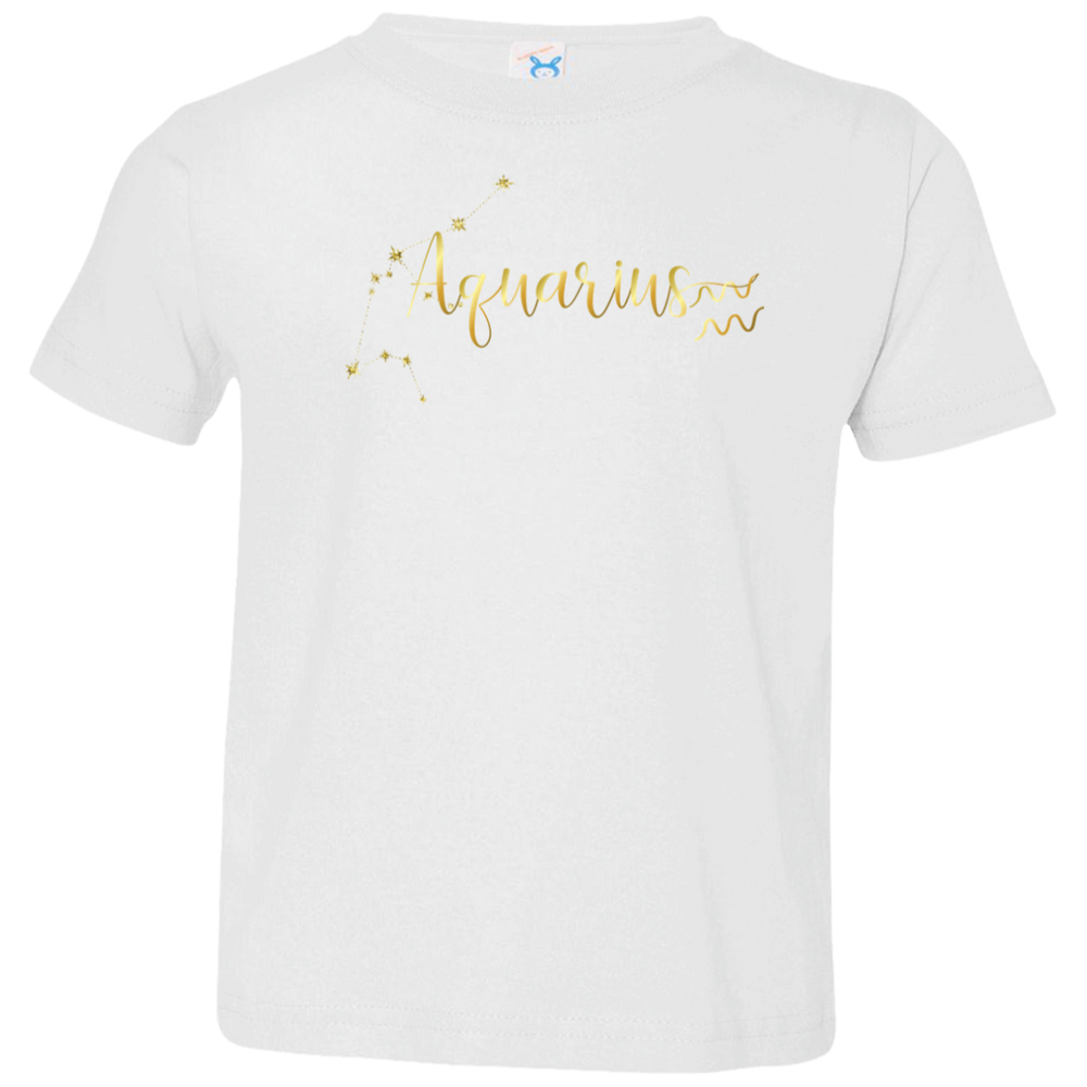 Aquarius Toddler Jersey T-Shirt
