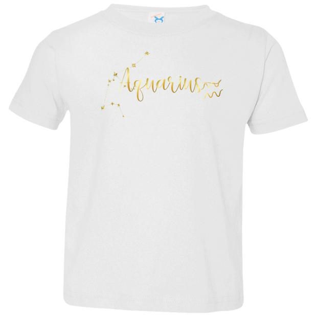 Aquarius Toddler Jersey T-Shirt