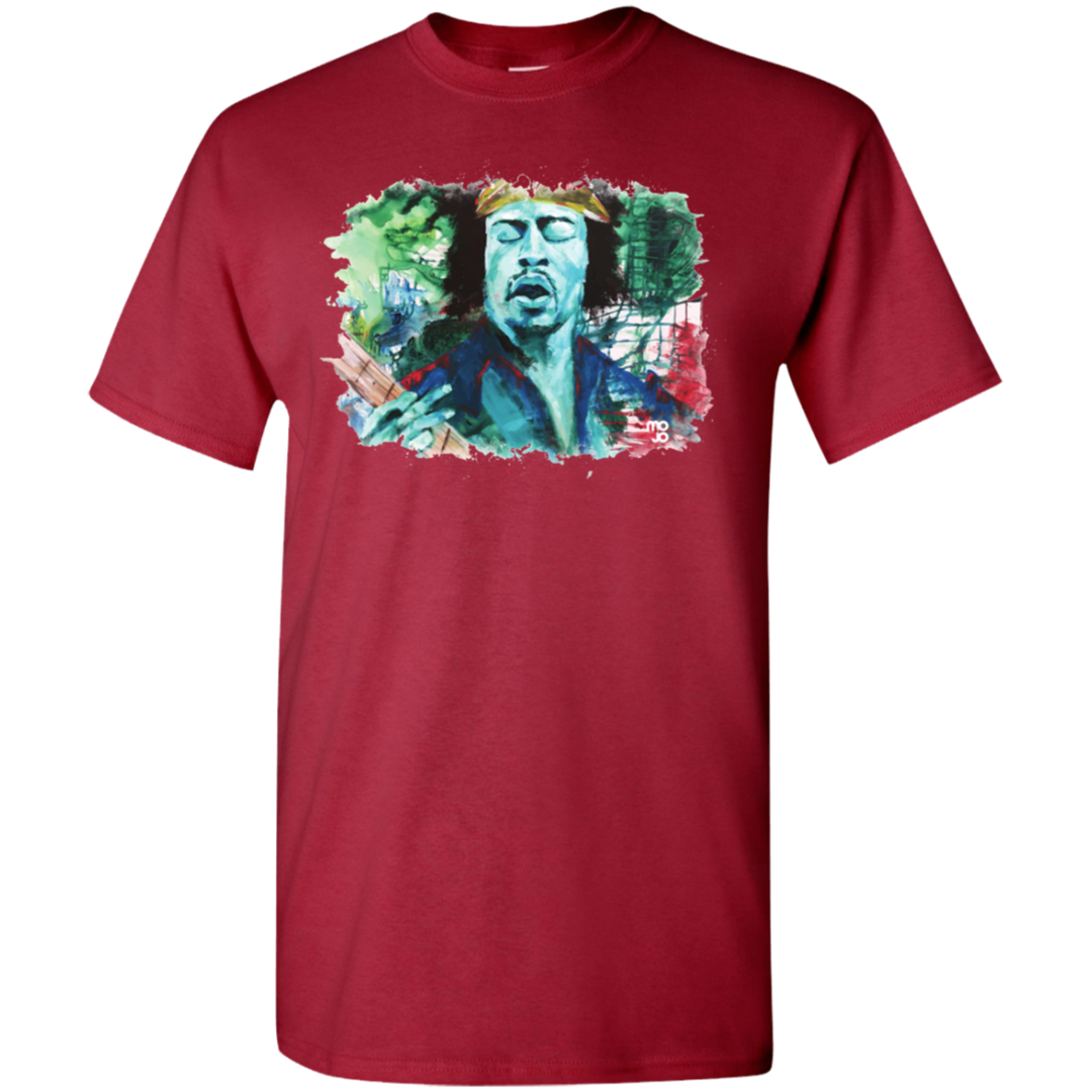 Jimi Hendrix T-Shirt