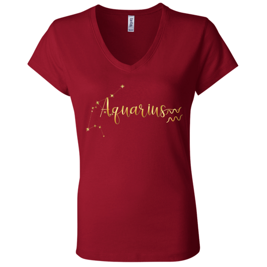 Aquarius Ladies' Astrology V-Neck T-Shirt