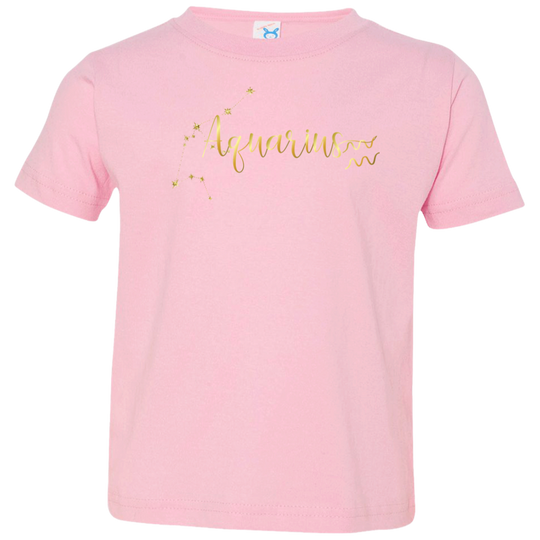 Aquarius Toddler Jersey T-Shirt